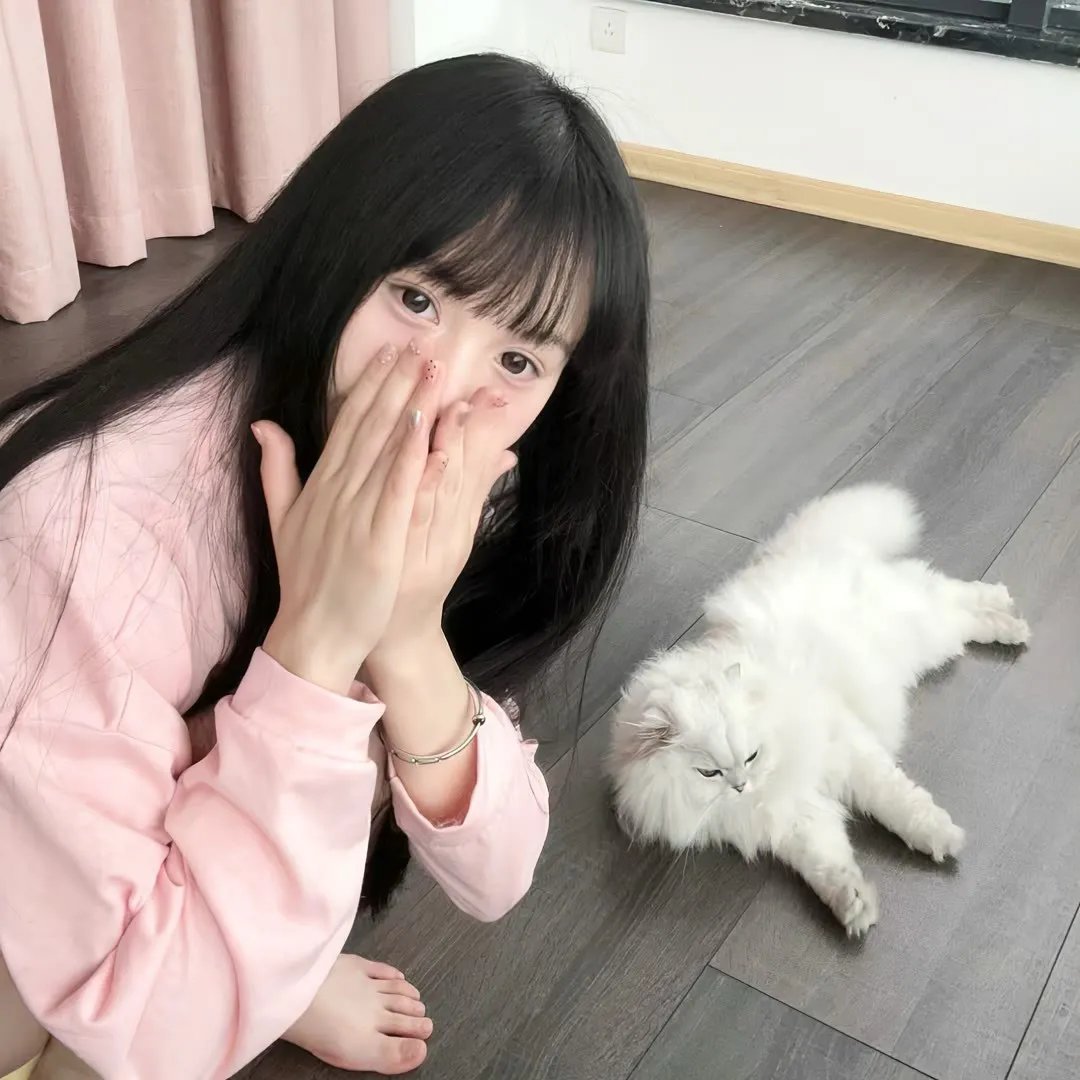 兔子镇的火狐狸
